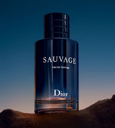 dior parfum voor mannen|dior fragrances for men.